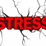 Stress: gli uomini fanno sesso, le donne mangiano