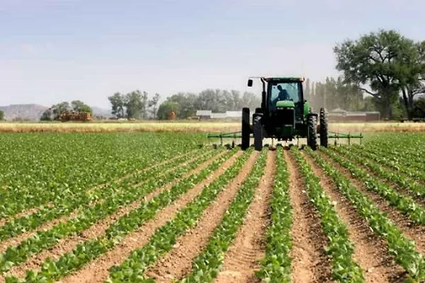 Imu terreni agricoli 2017: esenzioni e calcolo dell’imposta