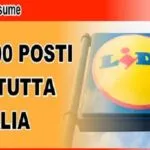 LIDL Lavora con Noi 2017: assunzioni nei supermercati e offerte di lavoro