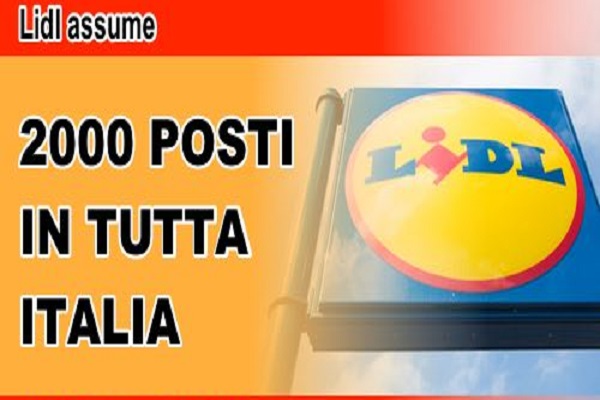 lidl lavora con noi 2017