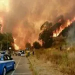 Vesuvio in fiamme, primi arresti: roghi dolosi, la bufala degli animali vivi
