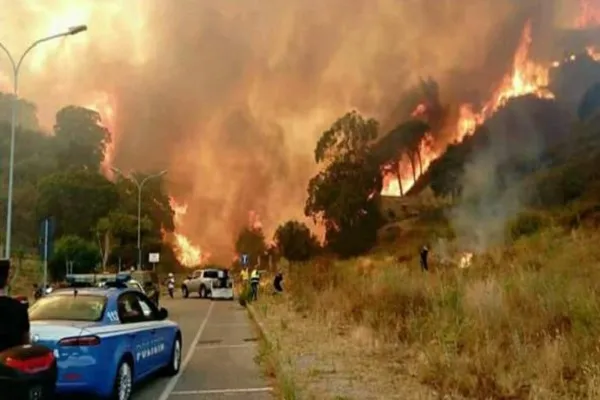 Vesuvio in fiamme, primi arresti: roghi dolosi, la bufala degli animali vivi