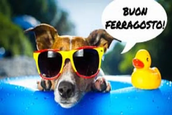 Buon Ferragosto 2017: auguri immagini e frasi divertenti WhatsApp