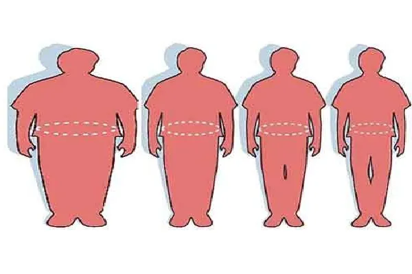 Obesità, gene brucia grassi trasforma il grasso in calore