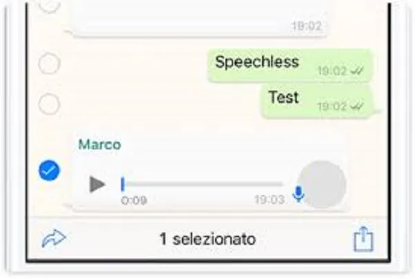 Speechless per WhatsApp, dai messaggi vocali a testo