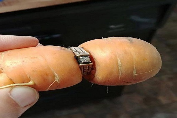 anello fidanzamento carota orto
