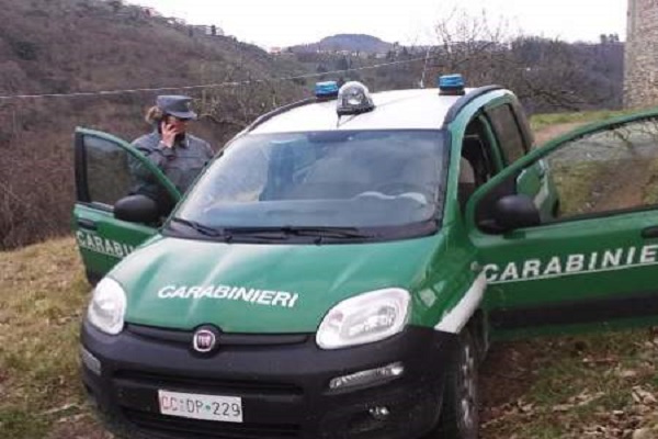 forestali carabinieri