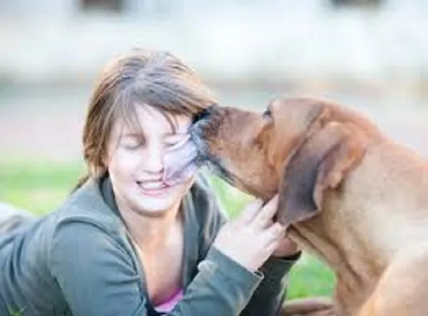 Fiuto canino: il cane scopre il tumore della padroncina annusandola