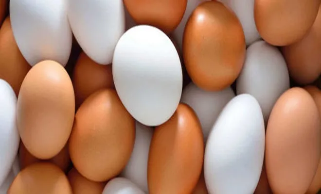 Allarme uova contaminate in Europa: rischi anche in Italia?