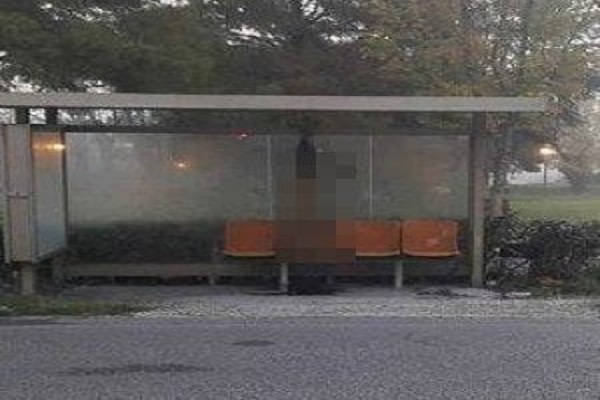 Orrore a Rimini, un lupo è stato ucciso e appeso alla fermata dell'autobus