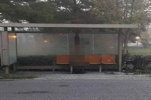 Orrore a Rimini, un lupo è stato ucciso e appeso alla fermata dell’autobus