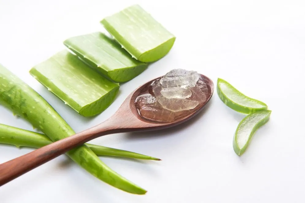 Naturopata condannato per cura obesità con aloe vera