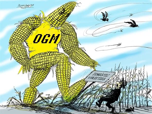 Gli Ogm  invadono tutti gli alimenti