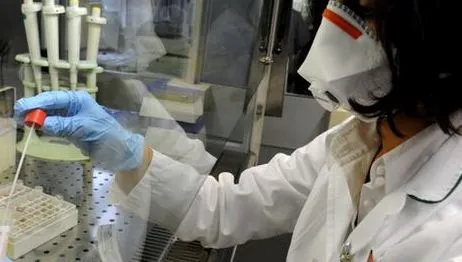 Malaria, è allarme in Italia con due casi a Chivasso