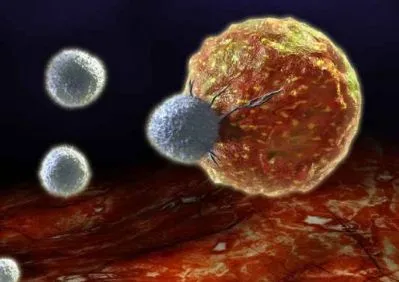 Nano navette progettate per eliminare le cellule tumorali