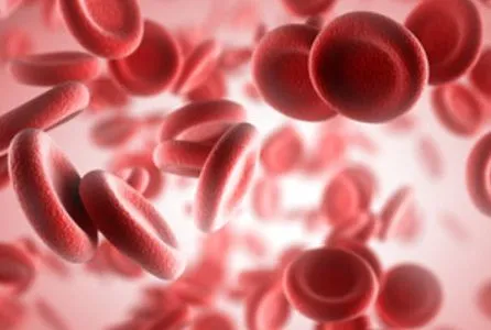 Beta talassemia: in arrivo una terapia genica efficace