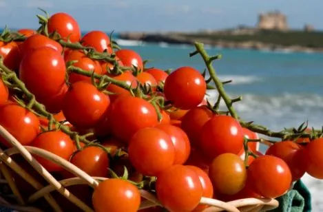 Pomodoro Pachino? Grazie alle importazioni, il prodotto siciliano è stato declassato dall’UE