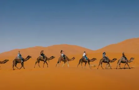 Deserto del Sahara una volta era verdeggiante, parola del DNA