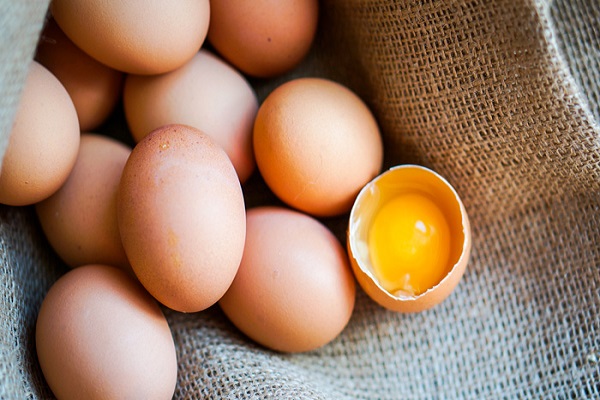 Salmonella nella uova, 22 persone intossicate