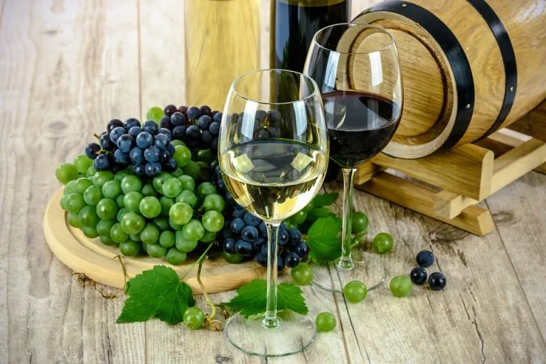 Italia e vini: tra i più amati c’è il Conte Zecca