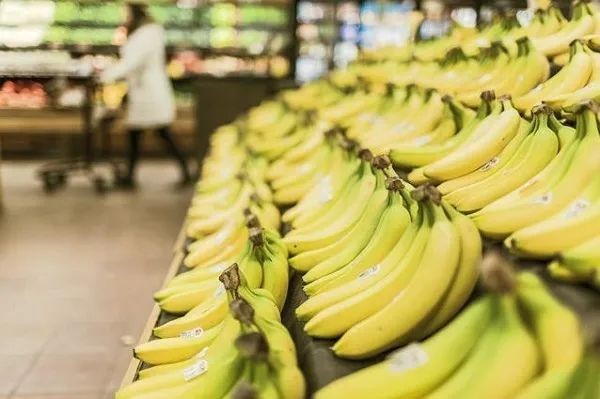 Banane a rischio estinzione: ecco cosa sta succedendo