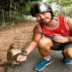 Puntura di zanzara, ragazzo di 27 anni in coma