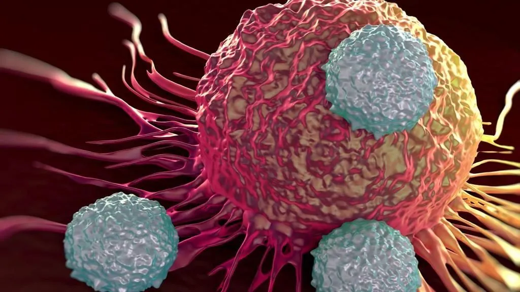 Car-T, terapia cellulare per i tumori: c’è il via libera dall’Europa