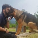 Kaos non è stato avvelenato: cane eroe di Amatrice morto per infarto