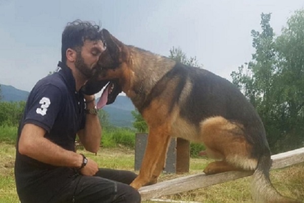 Kaos non è stato avvelenato: cane eroe di Amatrice morto per infarto