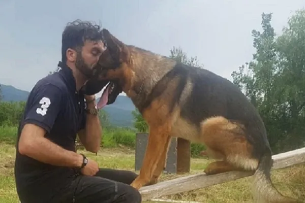 Kaos non è stato avvelenato: cane morto per infarto?