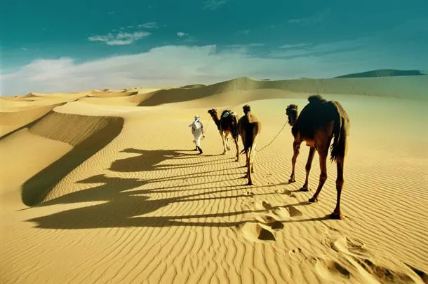 Deserto del Sahara: può davvero trasformarsi in un’oasi verde?