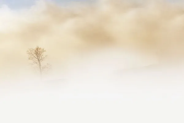 Ferrara, incidente e tamponamento a catena per nebbia