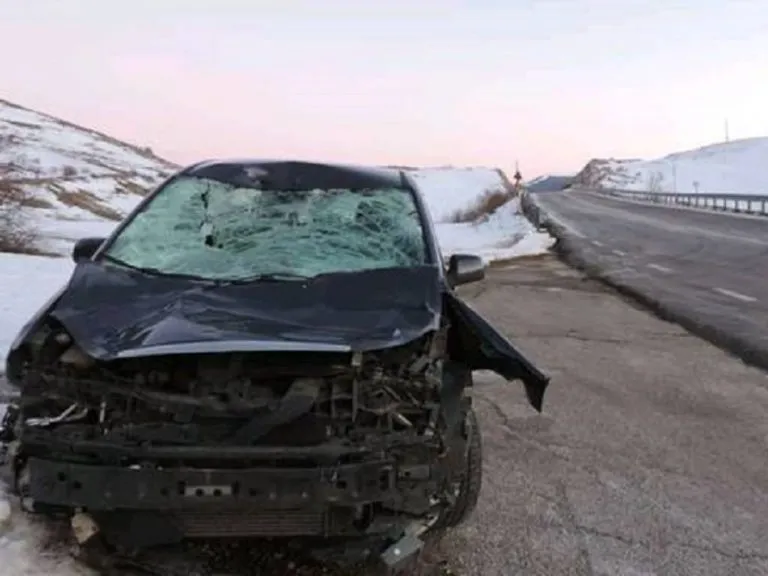 Aquila, auto investe cavallo a Lucoli sul Valico della Crocetta