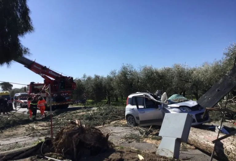 Roma, albero si abbatte su un’auto a Guidonia: morto un uomo di 45 anni