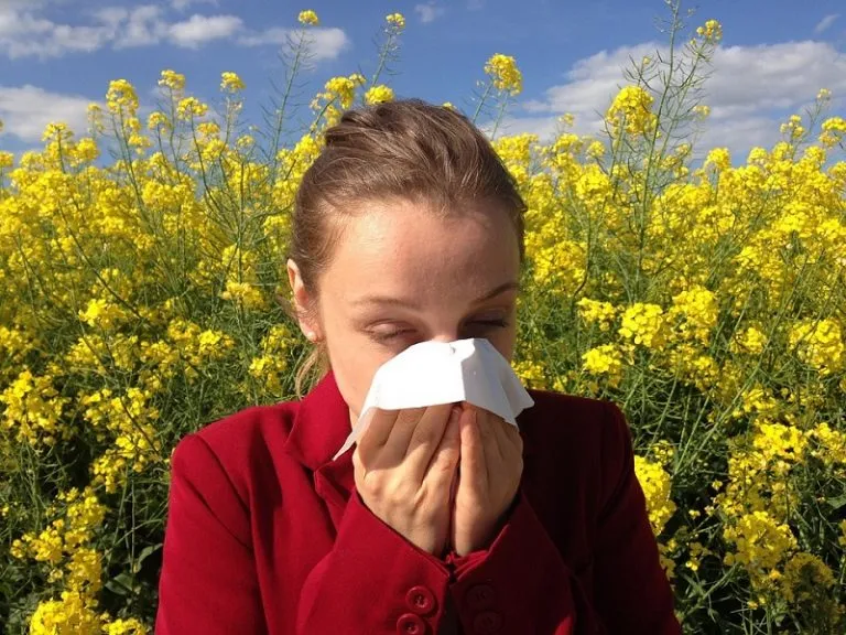 Allergie: i consigli degli esperti e le bufale che circolano nel web