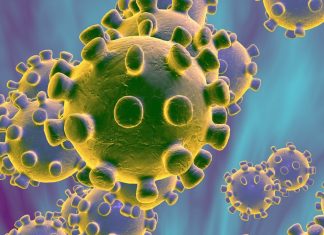 Coronavirus Morti Italia