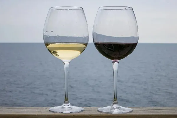 Le differenze tra vino bianco e vino rosso