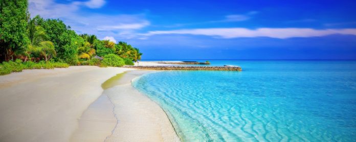 Isola dei Famosi 2022 quando inizia, chi sono i naufraghi, dove vederla
