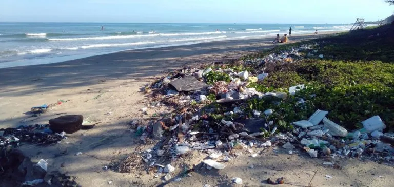 Microplastiche nel sangue: rischi e conseguenze per la salute umana