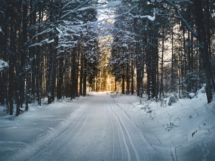 Solstizio d'inverno, il giorno più corto dell'anno che inaugura la stagione invernale: ecco cos'è, quando arriva e come si festeggia nel mondo.