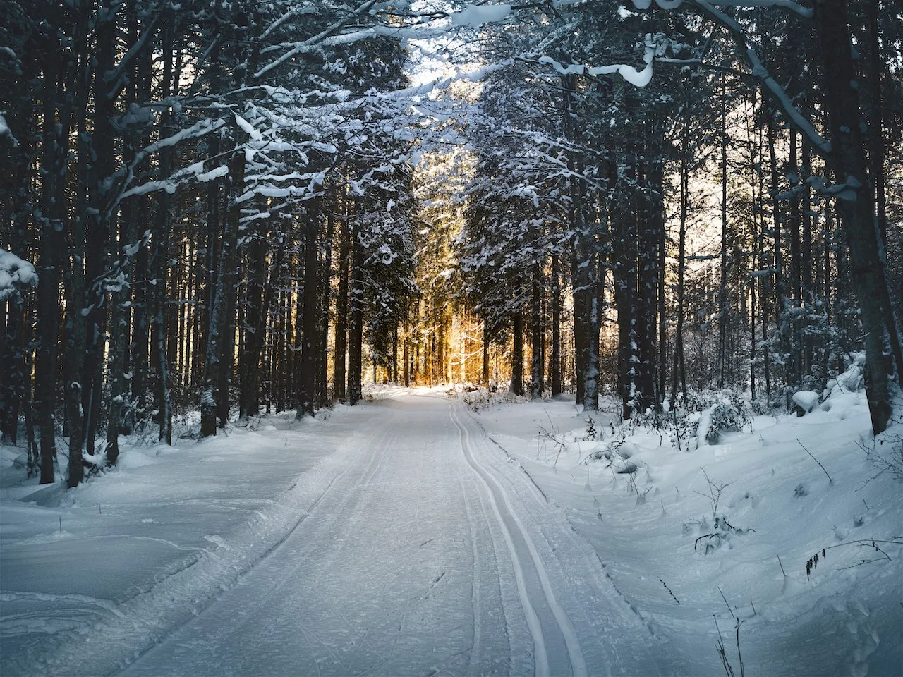 Solstizio d’inverno: cos’è, quando arriva e come si festeggia