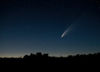 Tra gennaio e febbraio 2023 la Cometa di Neanderthal torna ad avvicinarsi alla Terra, accade una volta ogni 50 mila anni. Ecco quando e come vederla.