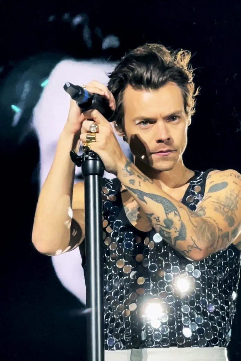 Harry Styles fa causa ai venditori online di merchandising non autorizzato