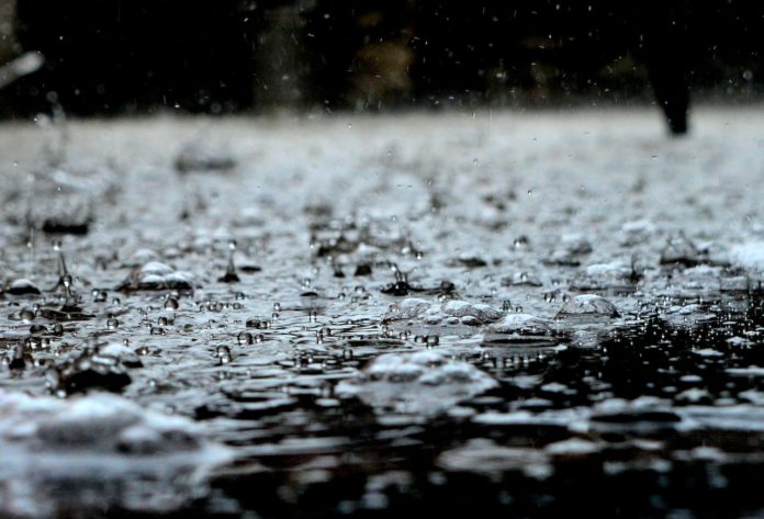 Piogge torrenziali nella città di Auckland, Nuova Zelanda, causano la morte di tre cittadini, mentre si cerca un disperso. Mai vista tanta acqua.