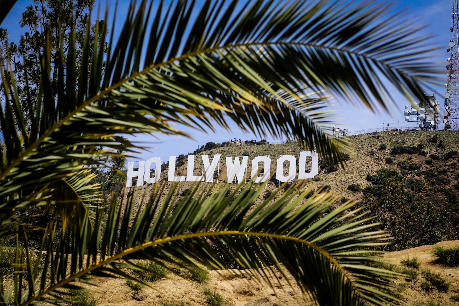 Oscar 2023: nessuna donna candidata alla regia, un problema hollywoodiano