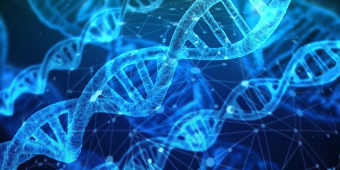 Uno studio internazionale guidato dall'Università di Torino ha individuato un nuovo gene la cui mutazione può causare disturbi dello spettro autistico.